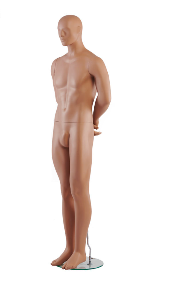 男性マネキン左側面ビュー|ナチュラルスキンカラー・両手を後ろに組んだポーズ展示モデル