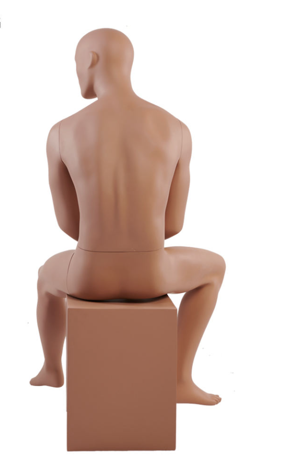 椅子に座った男性マネキン背面ビュー|ナチュラルスキンカラー・座りポーズ