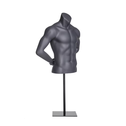 Fitness torso mannequin 24129