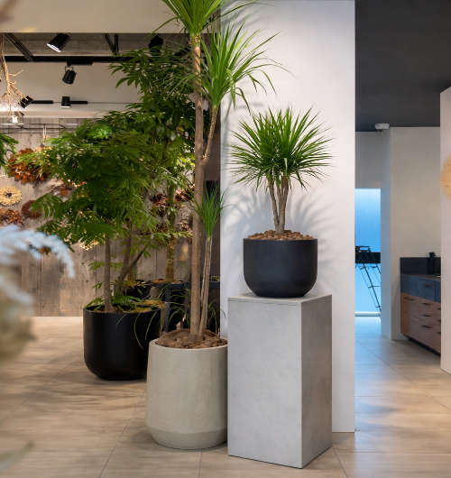 コンクリート調 展示テーブル 2721