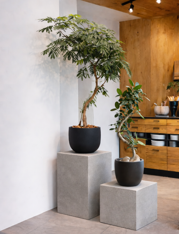 コンクリート調 展示テーブル 2717