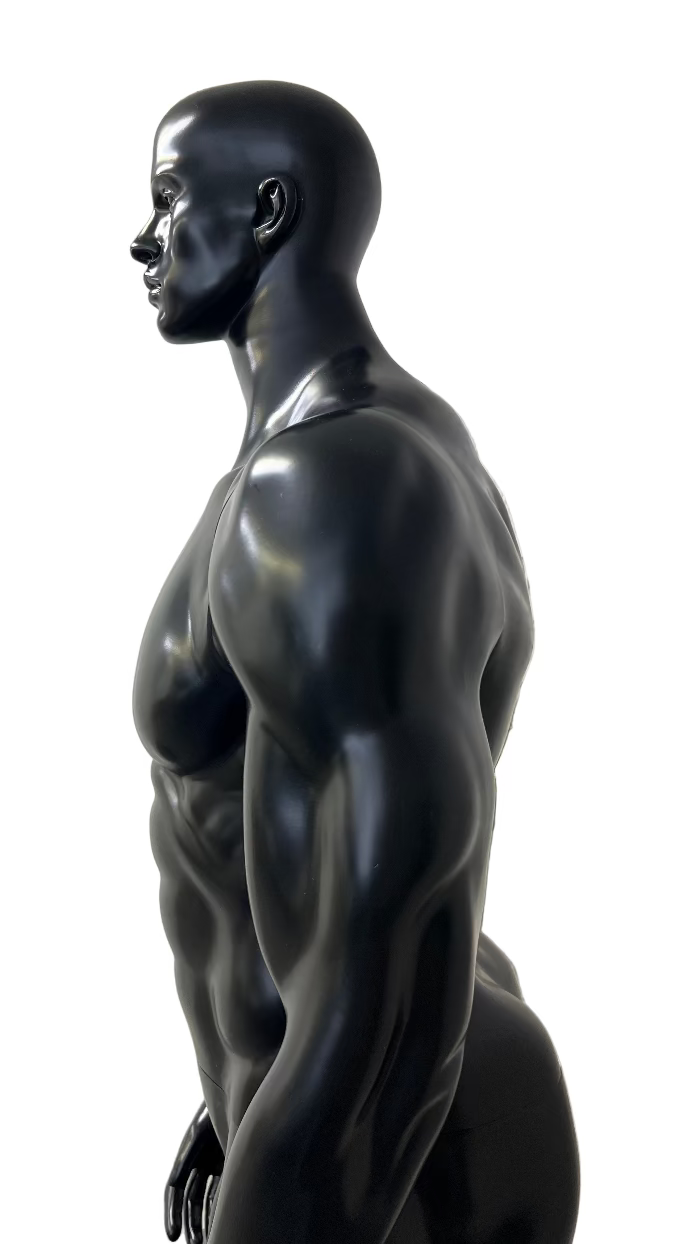 男性マッスルマネキン側面ビュー|筋肉造形のディスプレイモデル