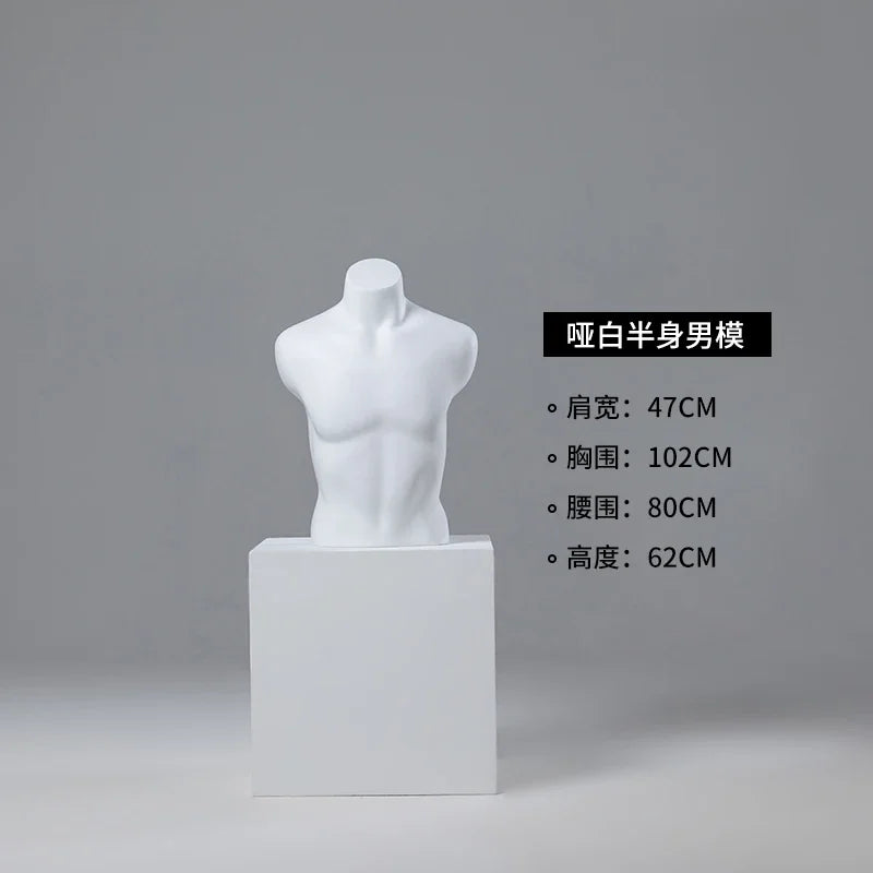 Male half-body mannequin 24152