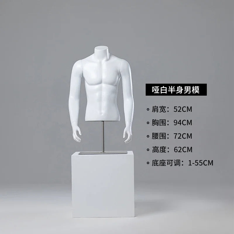 Male half-body mannequin 24152
