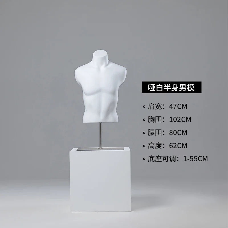 Male half-body mannequin 24152