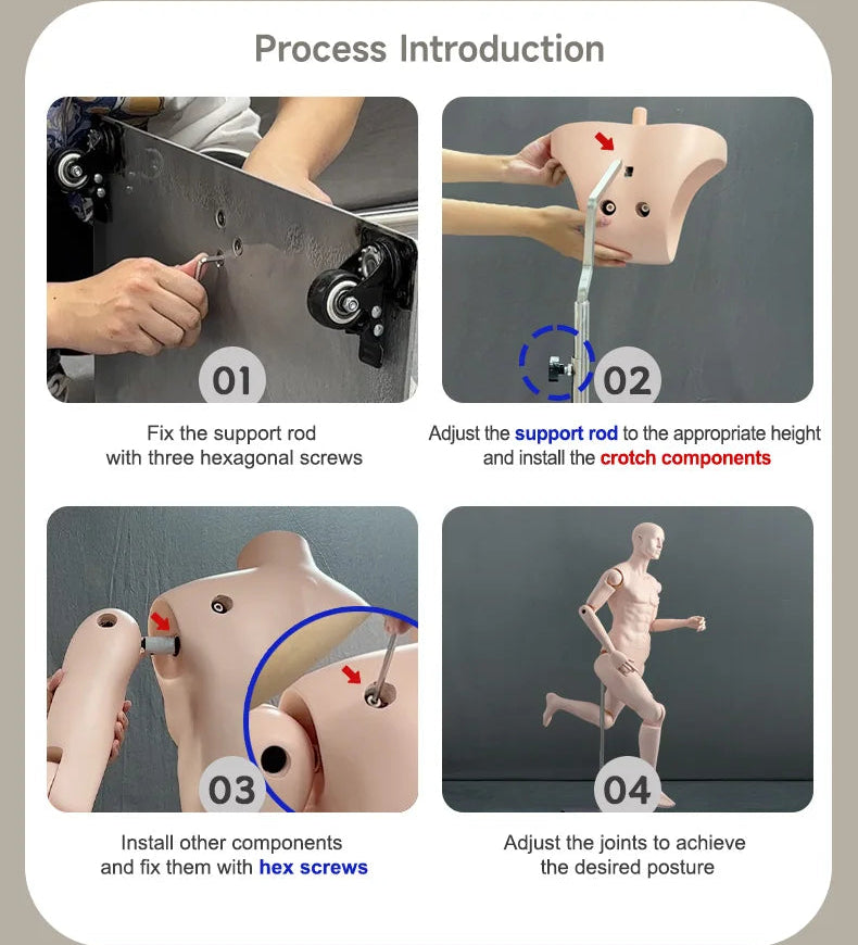 男性マネキンの組立手順と関節構造紹介|ディスプレイ用可動式モデル