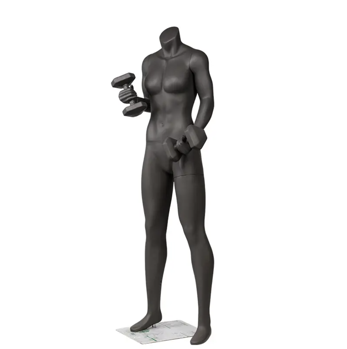 ダンベルを持つ女性フィットネスマネキン|全身正面ビュー・トレーニングポーズ