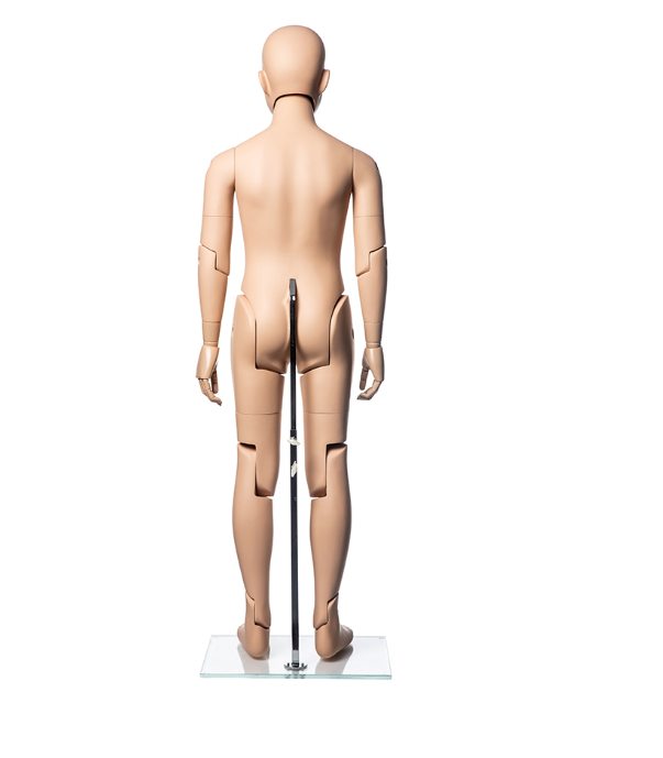 キッズマネキン 可動式 24174