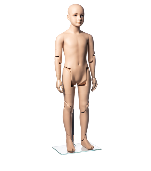 キッズマネキン 可動式 24174