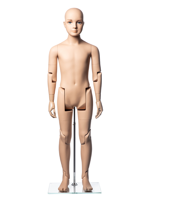 キッズマネキン 可動式 24174