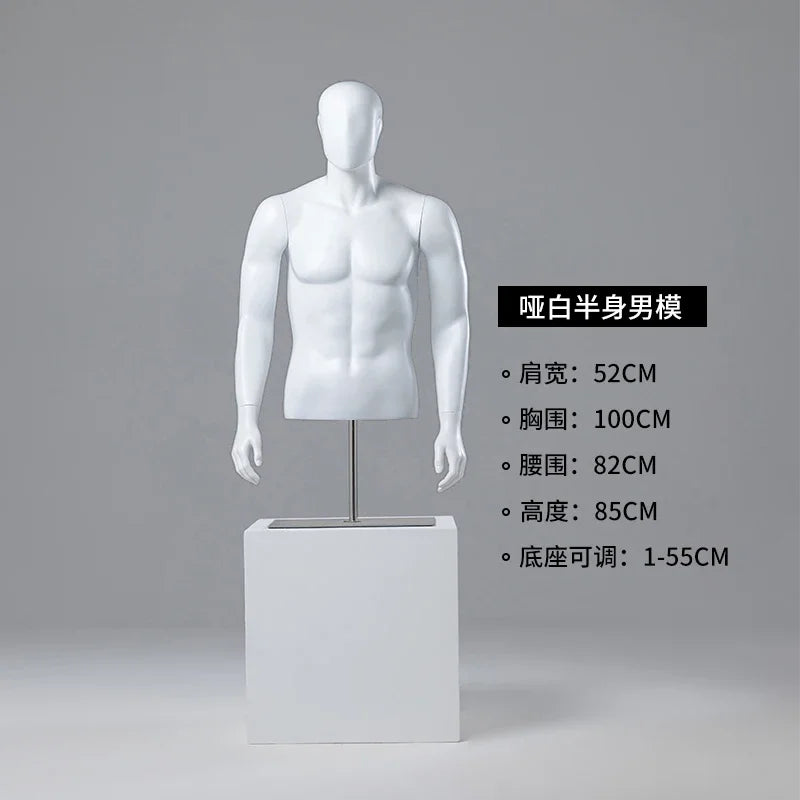 Male half-body mannequin 24152