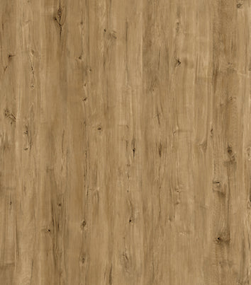 SAMPLE/TJY10371K
