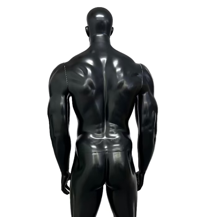 男性マッスルマネキン背面ビュー|トレーニング用ディスプレイモデル