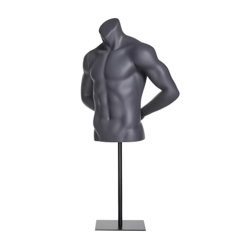 Fitness torso mannequin 24129