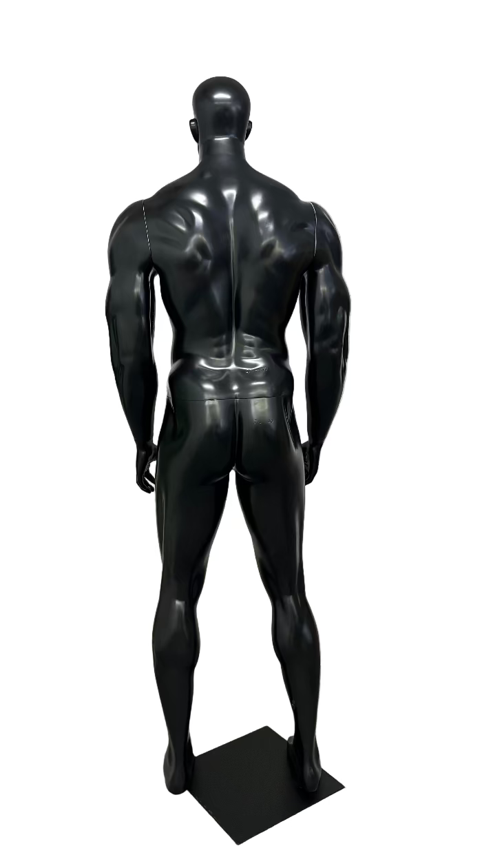男性マッスルマネキン背面ビュー｜トレーニング用ディスプレイモデル