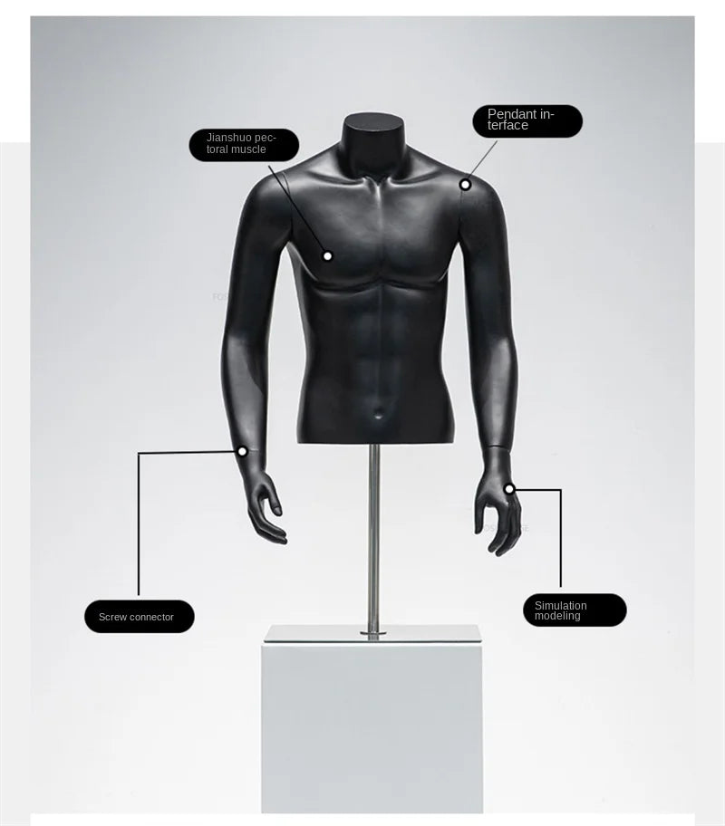 Male half-body mannequin 24152