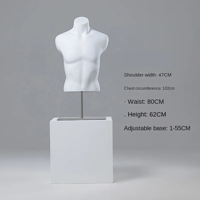 Male half-body mannequin 24152