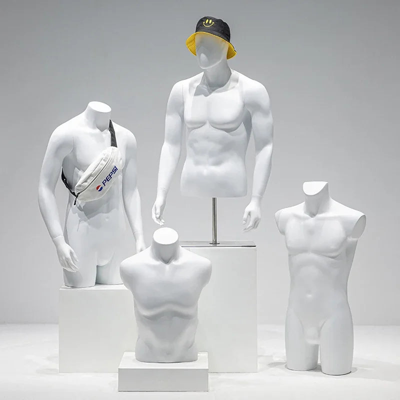 Male half-body mannequin 24152